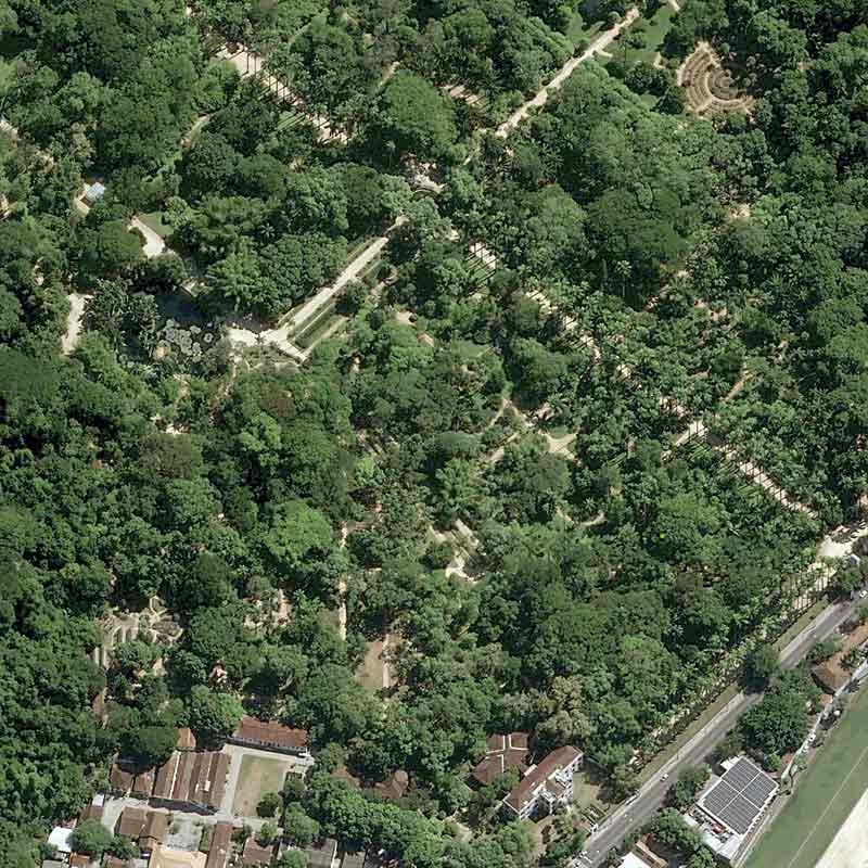Pléiades Neo image satellite - The Botanical Garden of Rio de Janeiro in Brazil - 30cm resolution