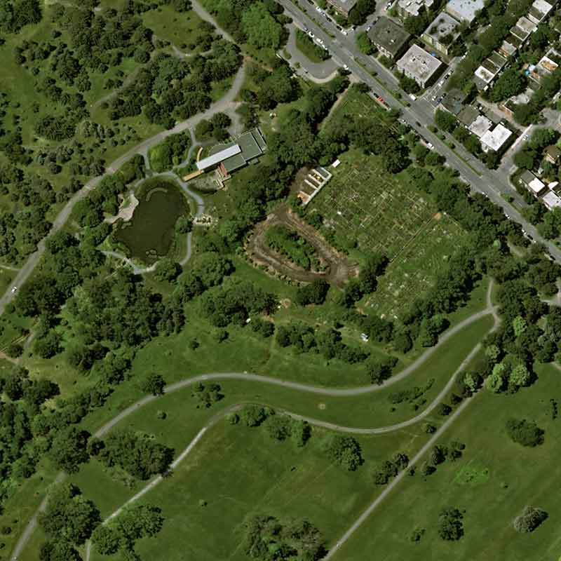 Pléiades Neo satellite image &nbsp;- The Botanical Garden of Montreal, Canada - 30cm resolution