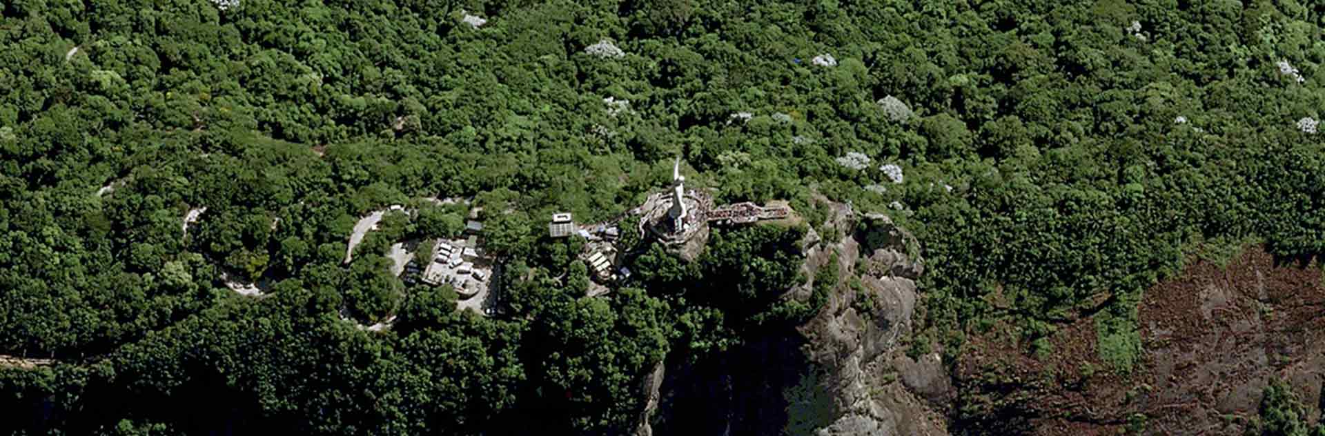 Pléiades Neo image satellite - The Botanical Garden of Rio de Janeiro in Brazil - 30cm resolution