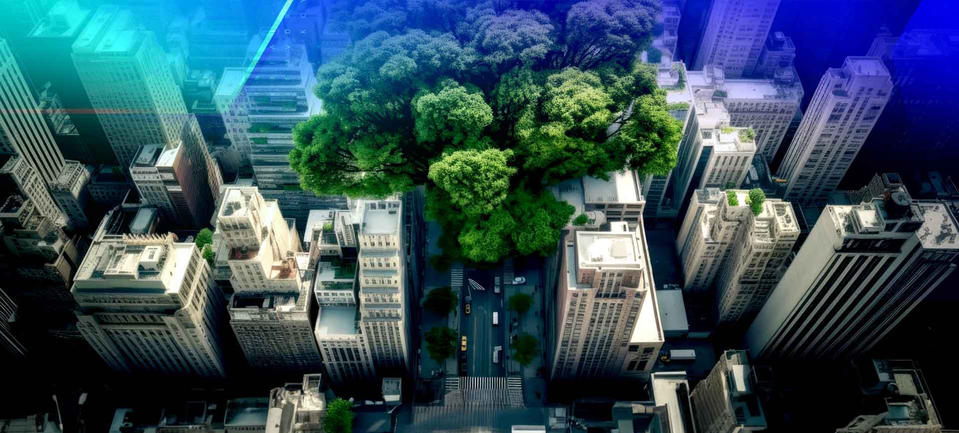 Urban Vegetation with Pléiades Neo